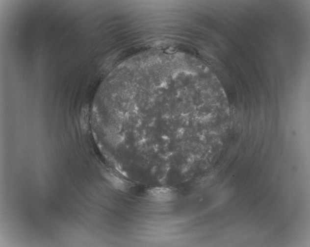 X0000062140189200512301537