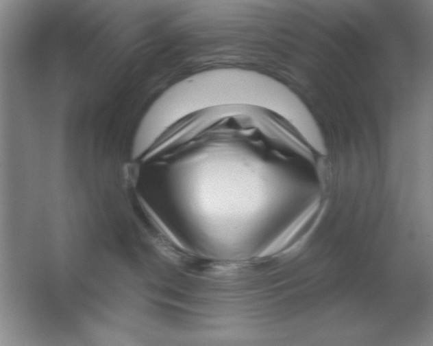 X0000062140190200512301537