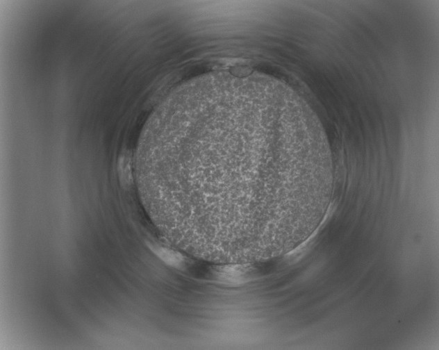 X0000062140191200512301537