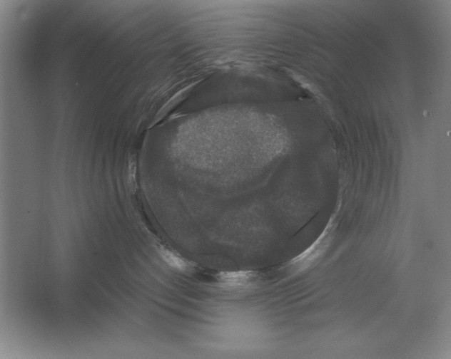 X0000062140192200512301537