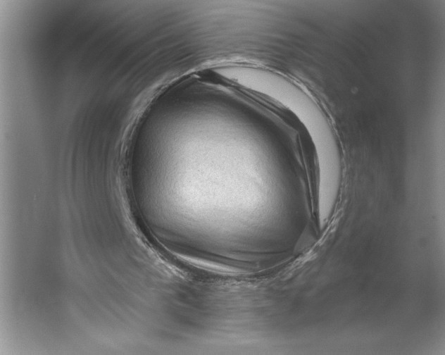 X0000062140193200512301536