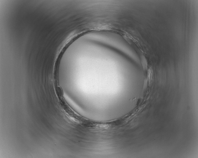 X0000062140195200512301536