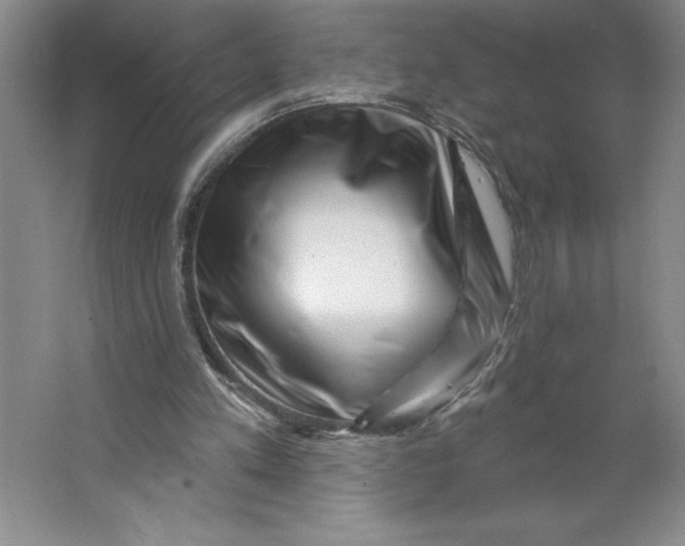 X0000062140197200512301536