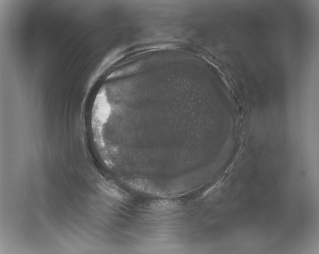 X0000062140198200512301536