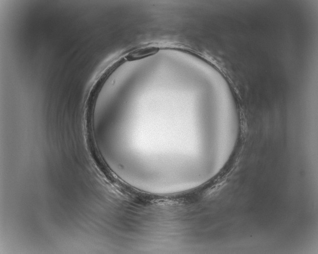 X0000062140199200512301536