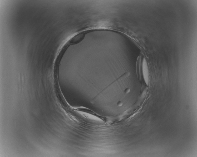 X0000062140200200512301536