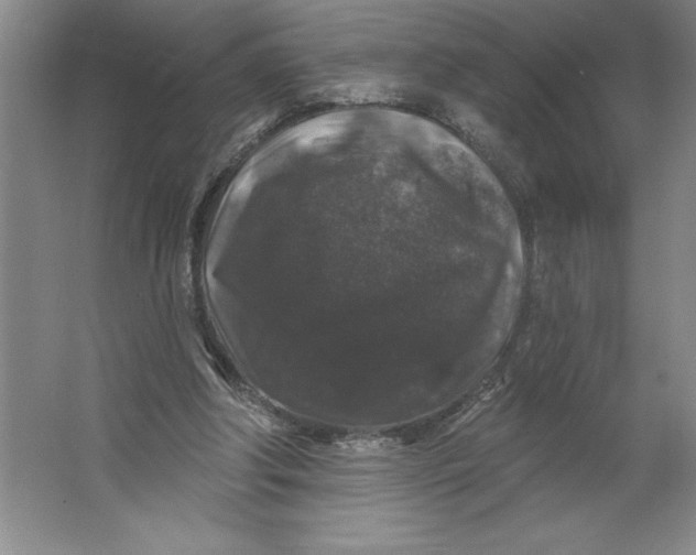 X0000062140202200512301536