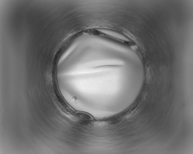 X0000062140203200512301536