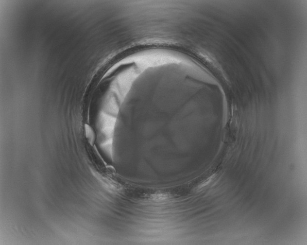 X0000062140204200512301536