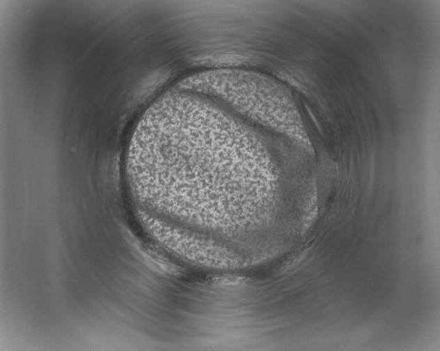 X0000062140206200512301536