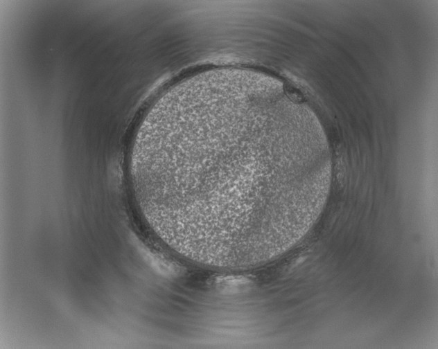 X0000062140208200512301536