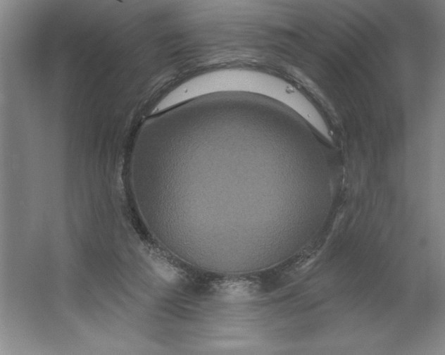 X0000062140209200512301536