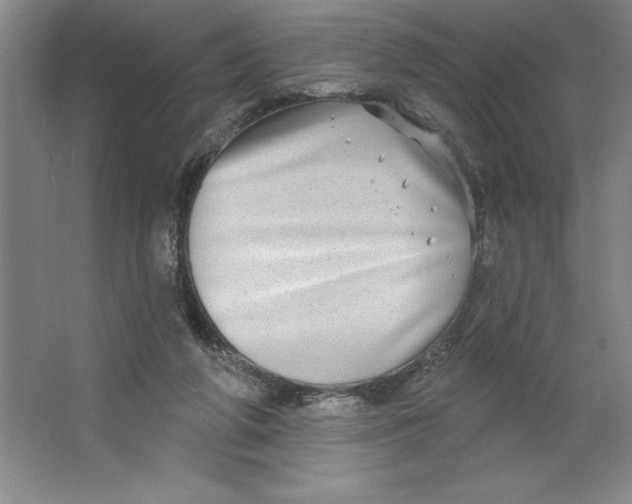 X0000062140210200512301536