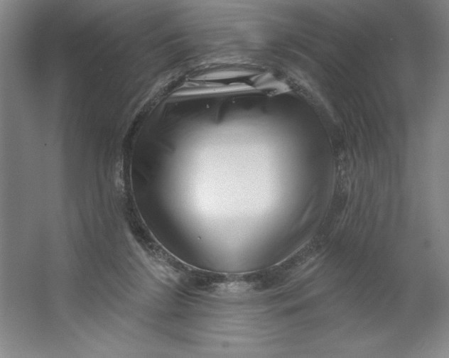 X0000062140212200512301536