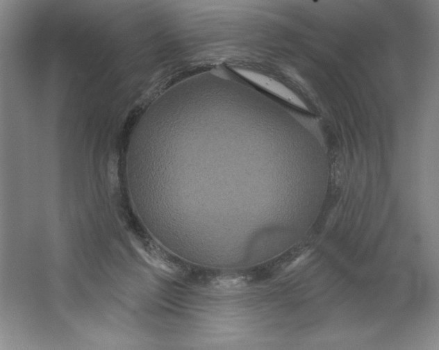 X0000062140213200512301536