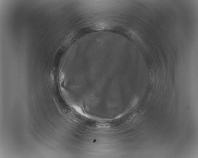 X0000062140214200512301536