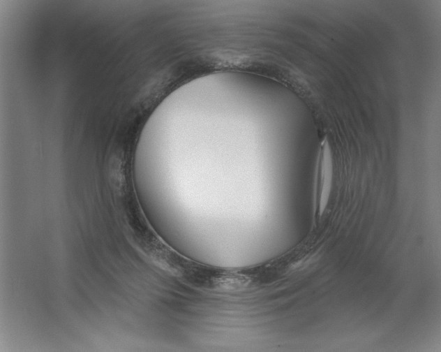 X0000062140215200512301536