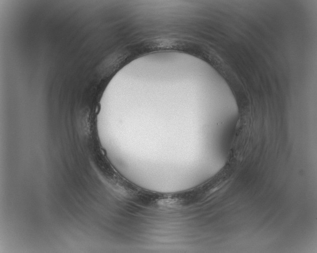 X0000062140216200512301536