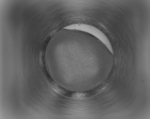 X0000062140217200512301536