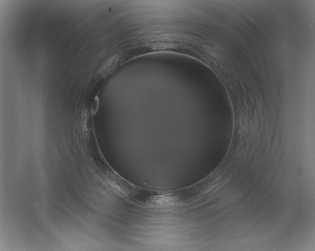 X0000062140219200512301536