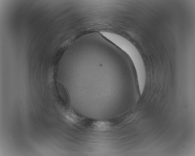 X0000062140221200512301536