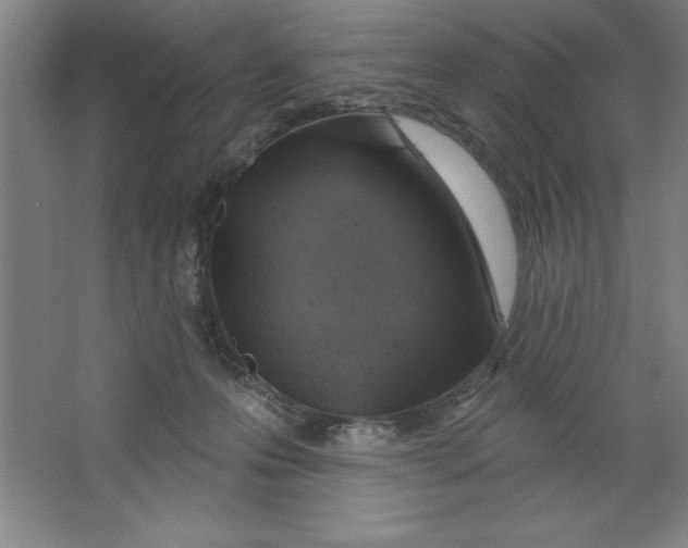 X0000062140223200512301535