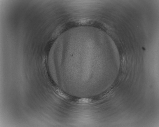 X0000062140225200512301535