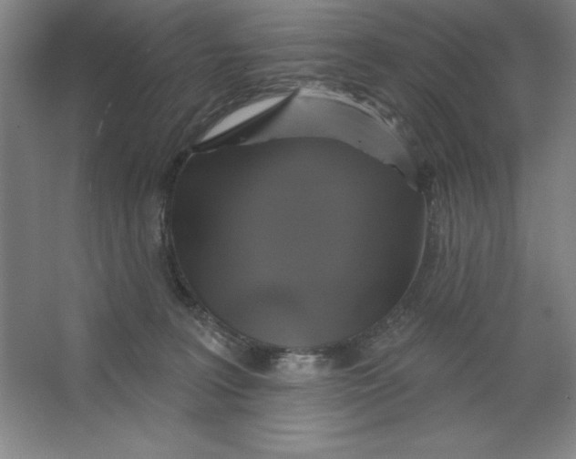 X0000062140227200512301535