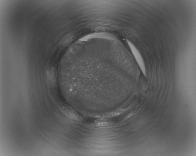 X0000062140228200512301535