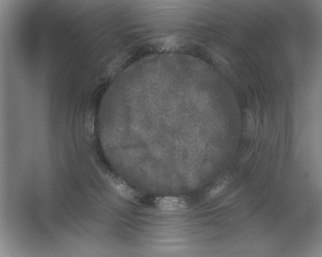 X0000062140230200512301535