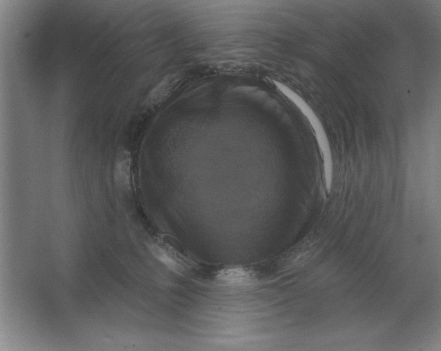 X0000062140231200512301535