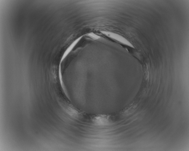 X0000062140232200512301535