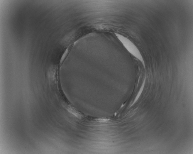 X0000062140233200512301535