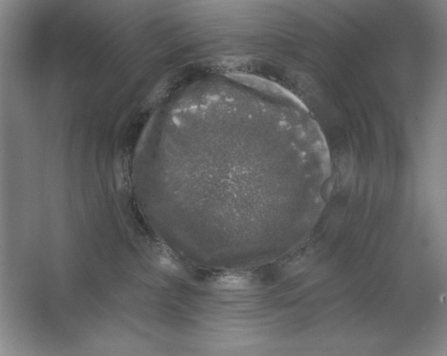 X0000062140236200512301535