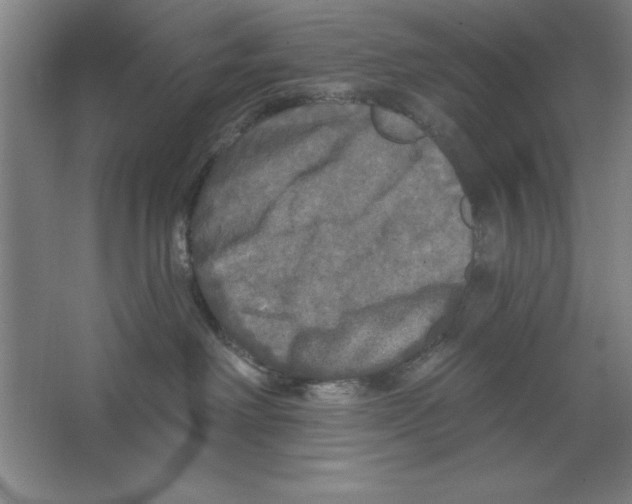 X0000062140238200512301535