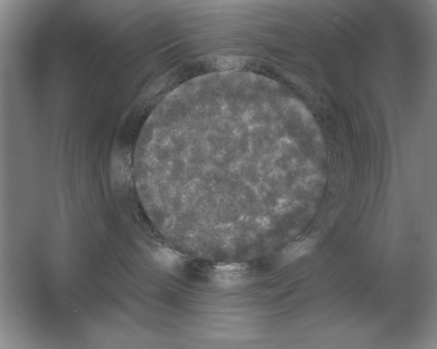 X0000062140240200512301535