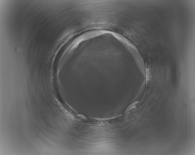 X0000062140243200512301534