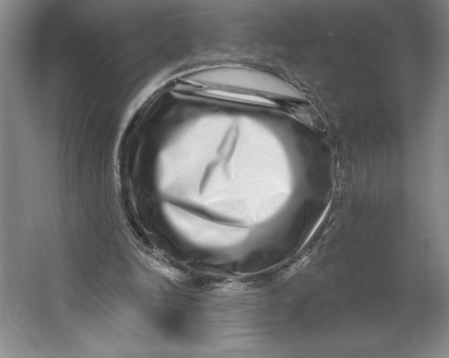 X0000062140246200512301534