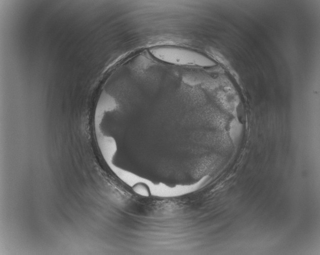 X0000062140249200512301535