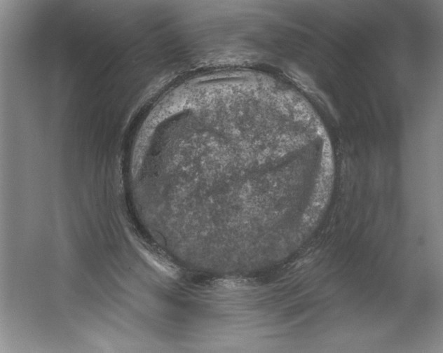 X0000062140250200512301535