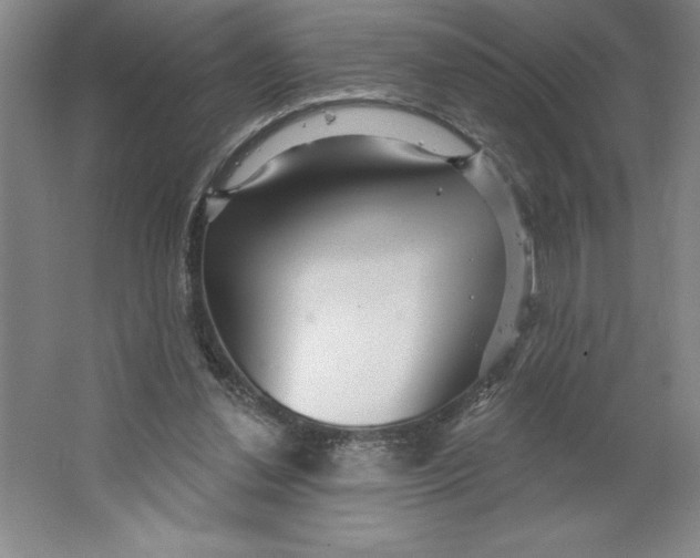 X0000062140252200512301535