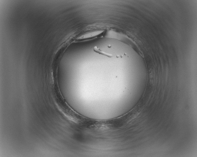 X0000062140254200512301535