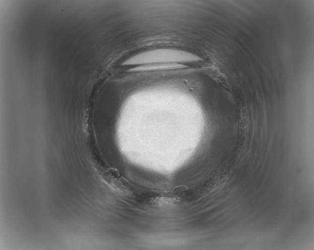 X0000062140255200512301535