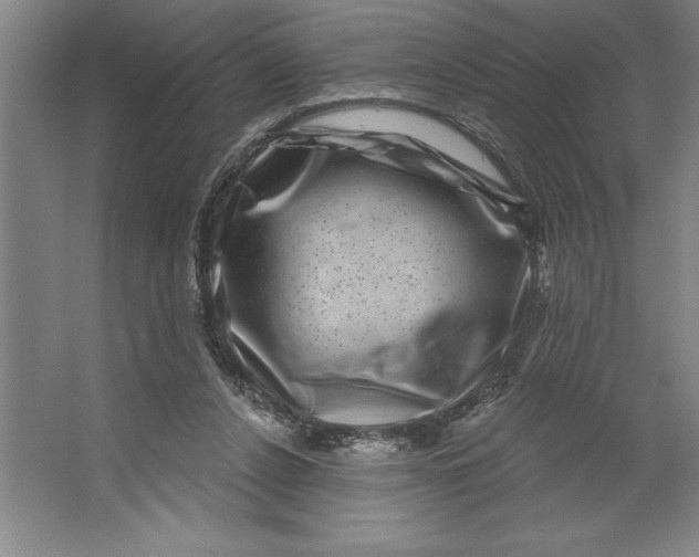 X0000062140256200512301535