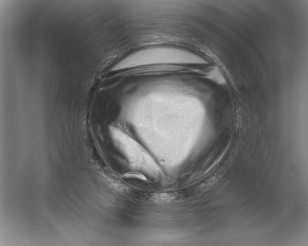 X0000062140257200512301535