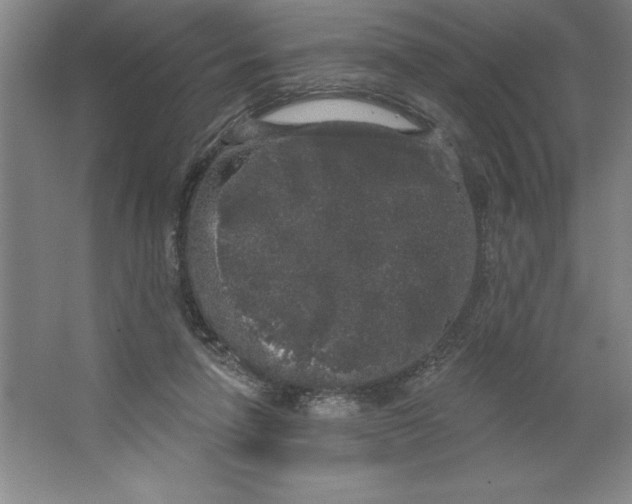 X0000062140258200512301535