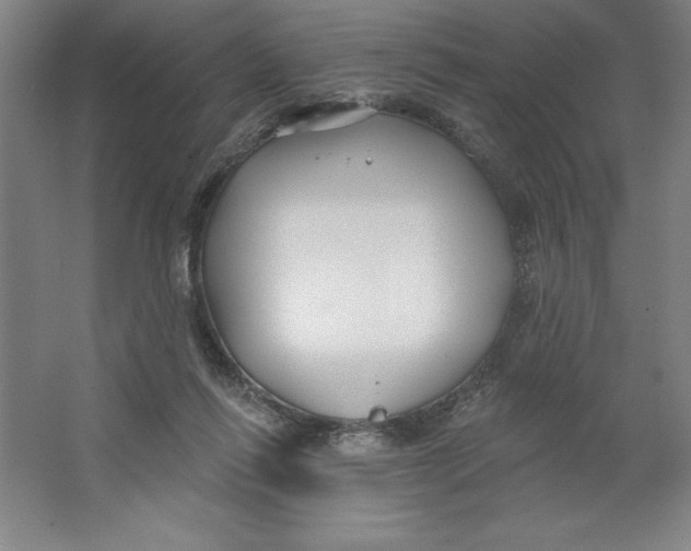 X0000062140262200512301535