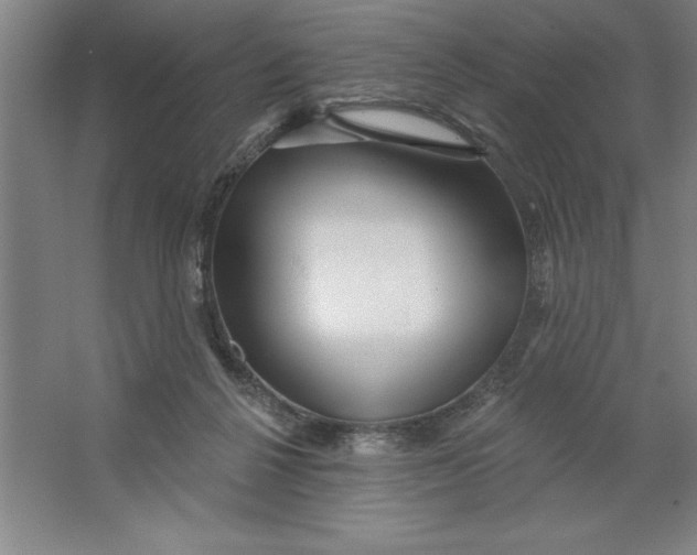 X0000062140264200512301535