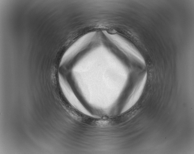 X0000062140265200512301535