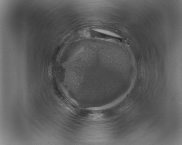 X0000062140266200512301535